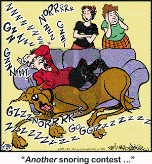 Marmaduke on Wednesday July 29, 2015 Comic Strip