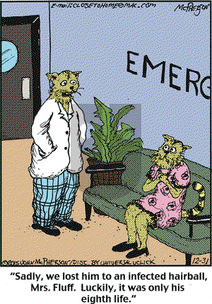 Close to Home on Thursday December 31, 2015 Comic Strip