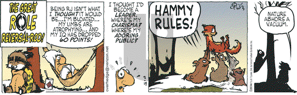Over the Hedge on Thursday February 19, 2009 Comic Strip