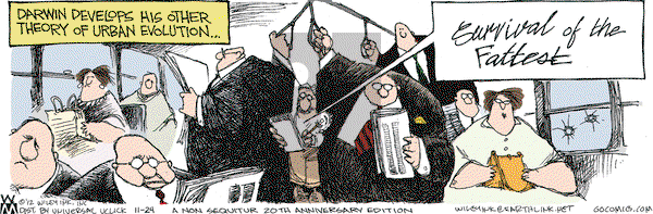 Non Sequitur on Saturday November 24, 2012 Comic Strip
