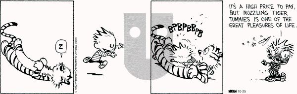 Calvin and Hobbes - Thursday October 25, 2012 Comic Strip