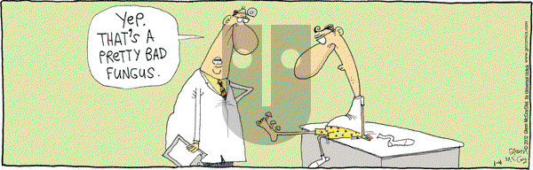 The Duplex on Wednesday January 4, 2012 Comic Strip
