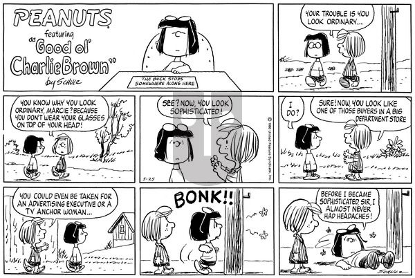 Peanuts on Sunday May 25, 1980 Comic Strip