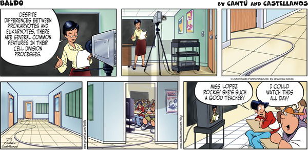 Baldo on Sunday December 13, 2009 Comic Strip