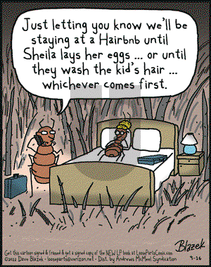 Loose Parts - Friday September 16, 2022 Comic Strip