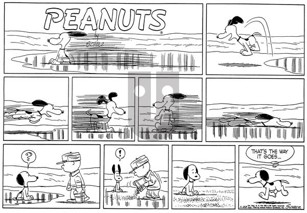 Peanuts on Sunday January 22, 1956 Comic Strip