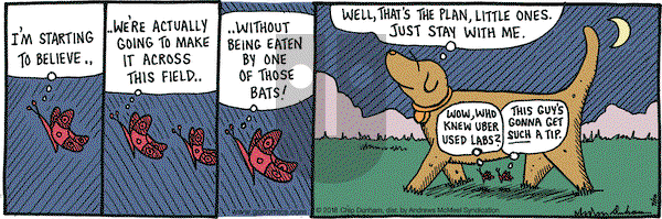 Overboard on Tuesday July 10, 2018 Comic Strip