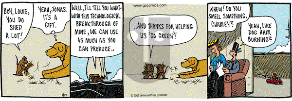 Overboard on Sunday September 28, 2008 Comic Strip