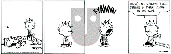 Calvin and Hobbes on Monday December 27, 1993 Comic Strip