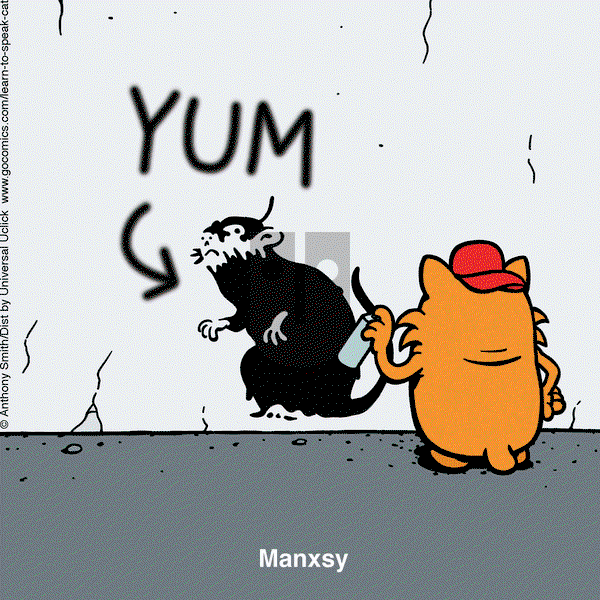 Learn to Speak Cat - Saturday May 10, 2025 Comic Strip