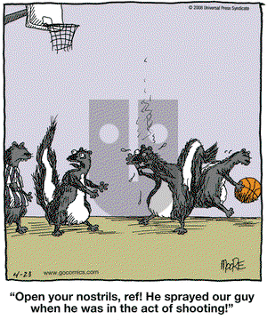 In the Bleachers on Wednesday April 23, 2008 Comic Strip