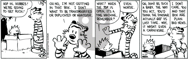 Calvin and Hobbes on Monday June 25, 1990 Comic Strip