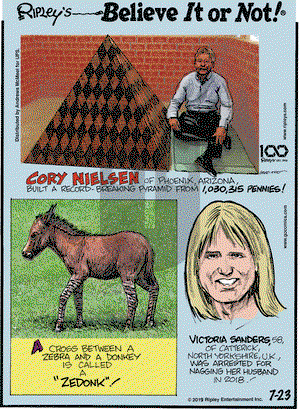 Ripley's Believe It or Not on Tuesday July 23, 2019 Comic Strip