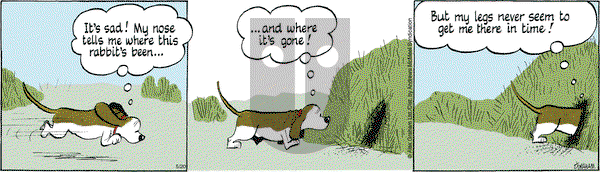 Fred Basset on Tuesday May 20, 2025 Comic Strip