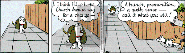 Fred Basset on Tuesday January 31, 2017 Comic Strip