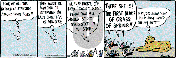 Overboard on Saturday March 28, 2015 Comic Strip