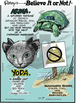 Ripley's Believe It or Not on Saturday December 20, 2008 Comic Strip