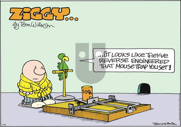 Ziggy on Sunday November 24, 2013 Comic Strip