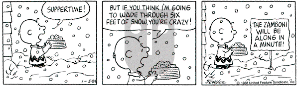 Peanuts on Thursday January 5, 1989 Comic Strip