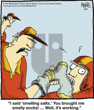 In the Bleachers on Saturday October 11, 2014 Comic Strip