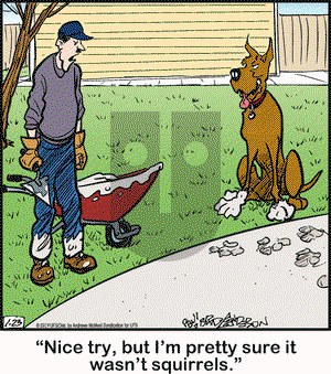 Marmaduke on Wednesday January 23, 2019 Comic Strip