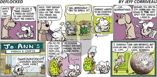 DeFlocked on Sunday August 15, 2010 Comic Strip