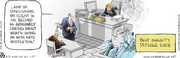 Non Sequitur on Saturday January 19, 2013 Comic Strip