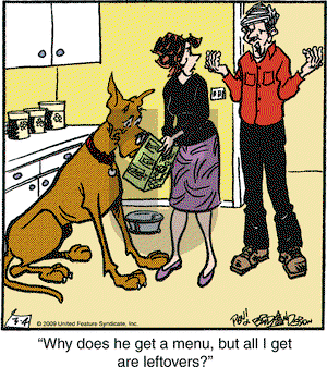 Marmaduke on Wednesday March 4, 2009 Comic Strip