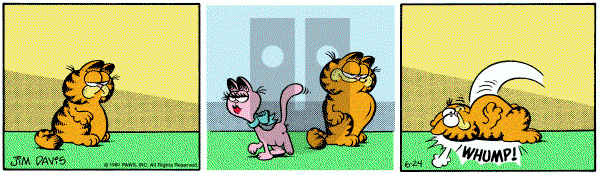 Garfield on Tuesday June 24, 1980 Comic Strip