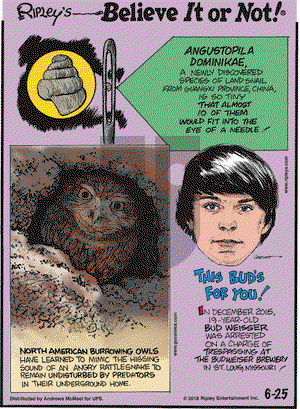 Ripley's Believe It or Not on Monday June 25, 2018 Comic Strip