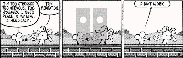 Pearls Before Swine on Saturday August 16, 2008 Comic Strip