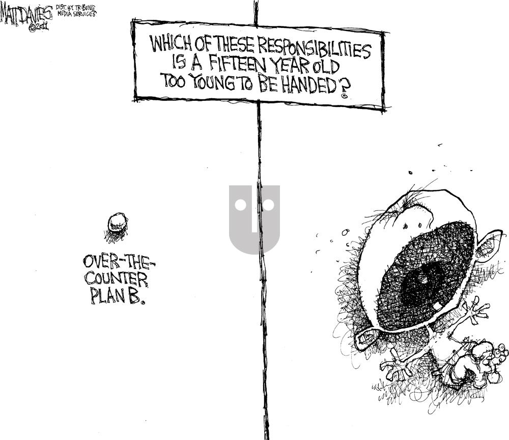 Matt Davies - Thursday December 8, 2011 Comic Strip