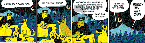 Rip Haywire on Thursday December 31, 2020 Comic Strip