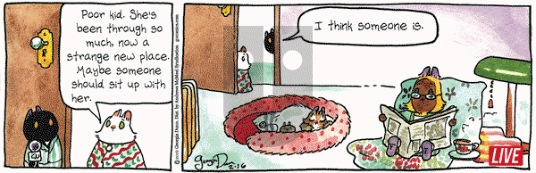 Breaking Cat News on Saturday February 16, 2019 Comic Strip
