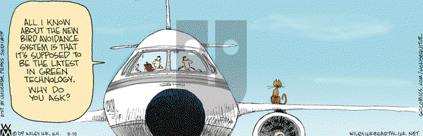 Non Sequitur on Friday August 16, 2013 Comic Strip