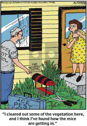 Close to Home on Friday November 1, 2024 Comic Strip