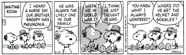 Peanuts on Thursday February 17, 1994 Comic Strip