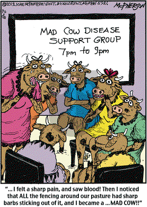 Close to Home on Friday February 8, 2019 Comic Strip
