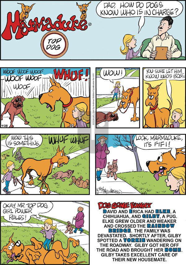 Marmaduke - Sunday July 28, 2024 Comic Strip