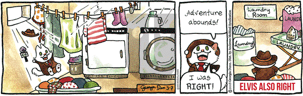 Breaking Cat News on Wednesday March 7, 2018 Comic Strip