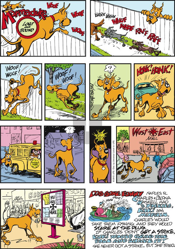 Marmaduke on Sunday May 5, 2013 Comic Strip