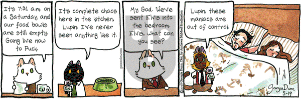 Breaking Cat News on Saturday May 19, 2018 Comic Strip