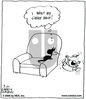 Kit 'N' Carlyle on Tuesday September 12, 2000 Comic Strip