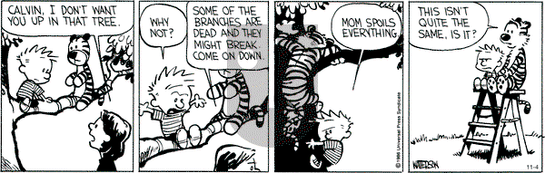 Calvin and Hobbes - Friday November 4, 2011 Comic Strip
