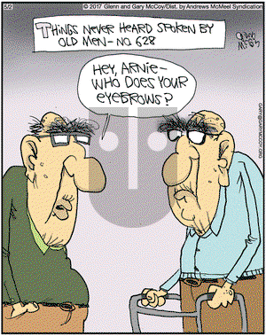 The Flying McCoys on Tuesday May 2, 2017 Comic Strip