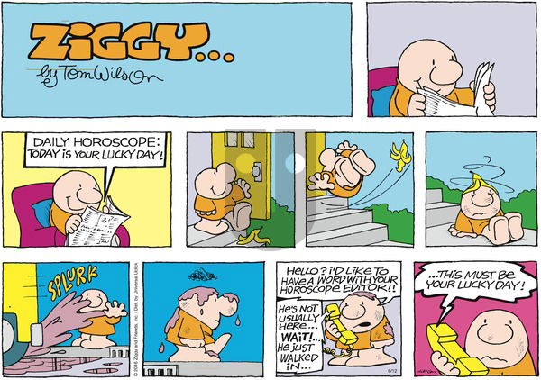 Ziggy on Sunday June 12, 2016 Comic Strip