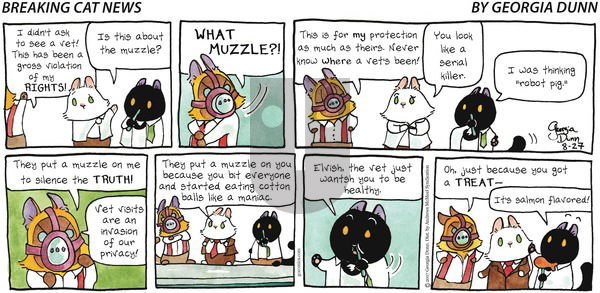 Breaking Cat News on Sunday August 27, 2017 Comic Strip