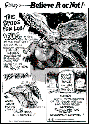 Ripley's Believe It or Not on Thursday April 3, 2008 Comic Strip