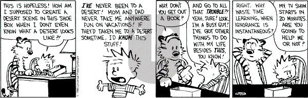 Calvin and Hobbes - Thursday November 15, 1990 Comic Strip