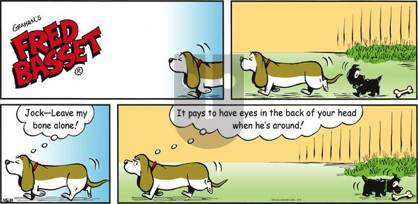 Fred Basset on Sunday May 19, 2013 Comic Strip